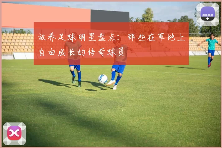 放养足球明星盘点：那些在草地上自由成长的传奇球员