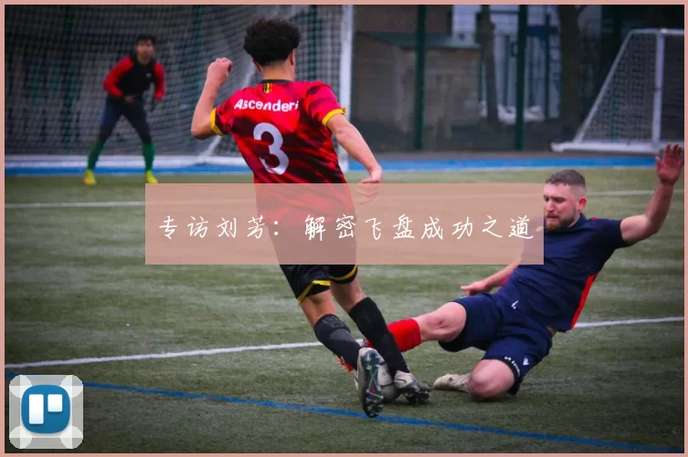 专访刘芳：解密飞盘成功之道