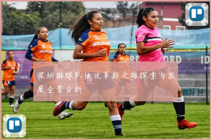 深圳排球队快攻革新之路探索与发展全景分析
