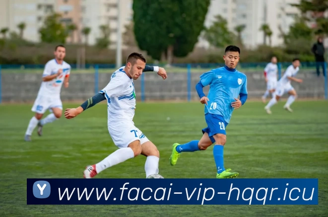 米兰体育平台生态图