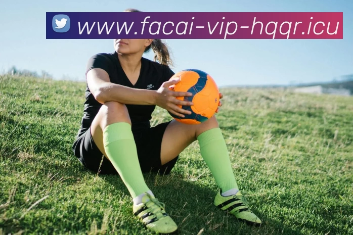 米兰体育APP 封面图